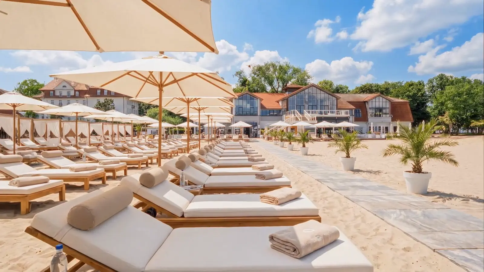 Plaża: leżaki, kadr z filmu