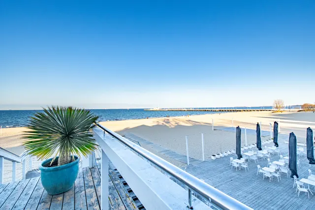 Taras nad plażą z drewnianym pokładem i palmą w donicy, w tle piaszczysta plaża, złożone parasole i molo