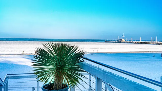 Zimowy widok z tarasu na ośnieżoną plażę, palma w donicy przy balustradzie i molo na horyzoncie