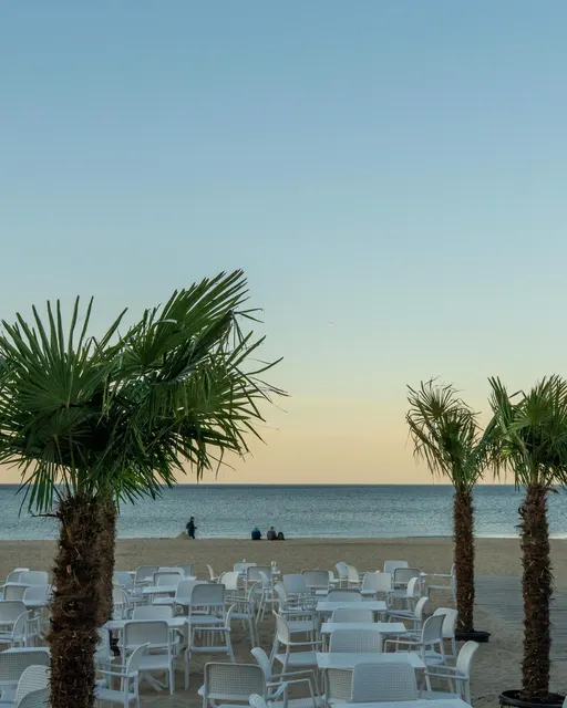 Palmy i rzędy białych krzeseł ustawione na plaży o zmierzchu, spokojne morze na horyzoncie
