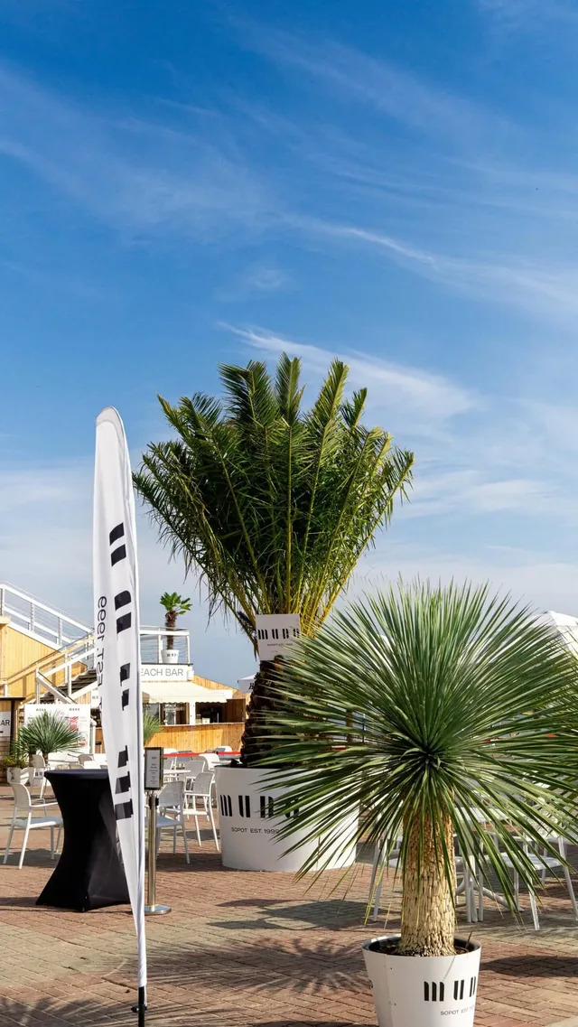 Taras nad plażą z palmami w donicach, stoły koktajlowe i flaga przy wejściu do beach baru