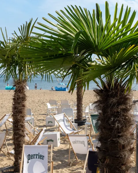 Leżaki na piasku między palmami przy plaży MUDO, w tle morze