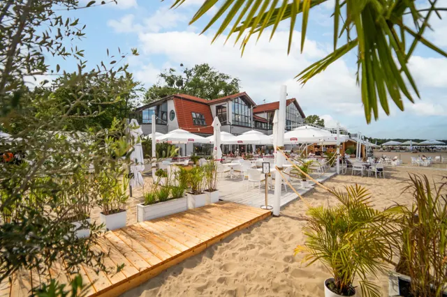 Taras z palmami i parasolami, plaża tuż za pomostem