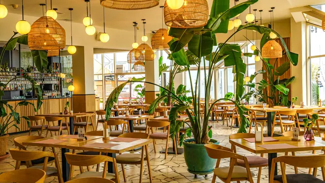 Sala restauracyjna: jasne wnętrze z roślinami i lampami