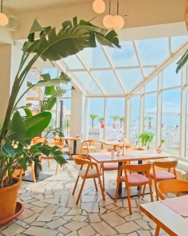 Przeszklona sala restauracji MUDO: drewniane krzesła z różowymi siedziskami, rośliny w donicach, za oknami plaża